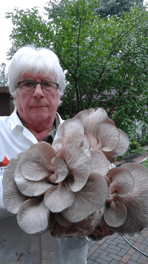 Nenad Vidovic i bukovace