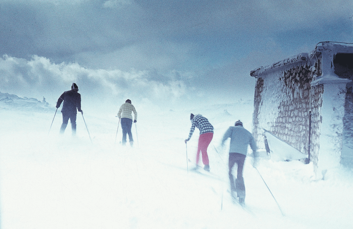 Gola Jahorina OGROMNA